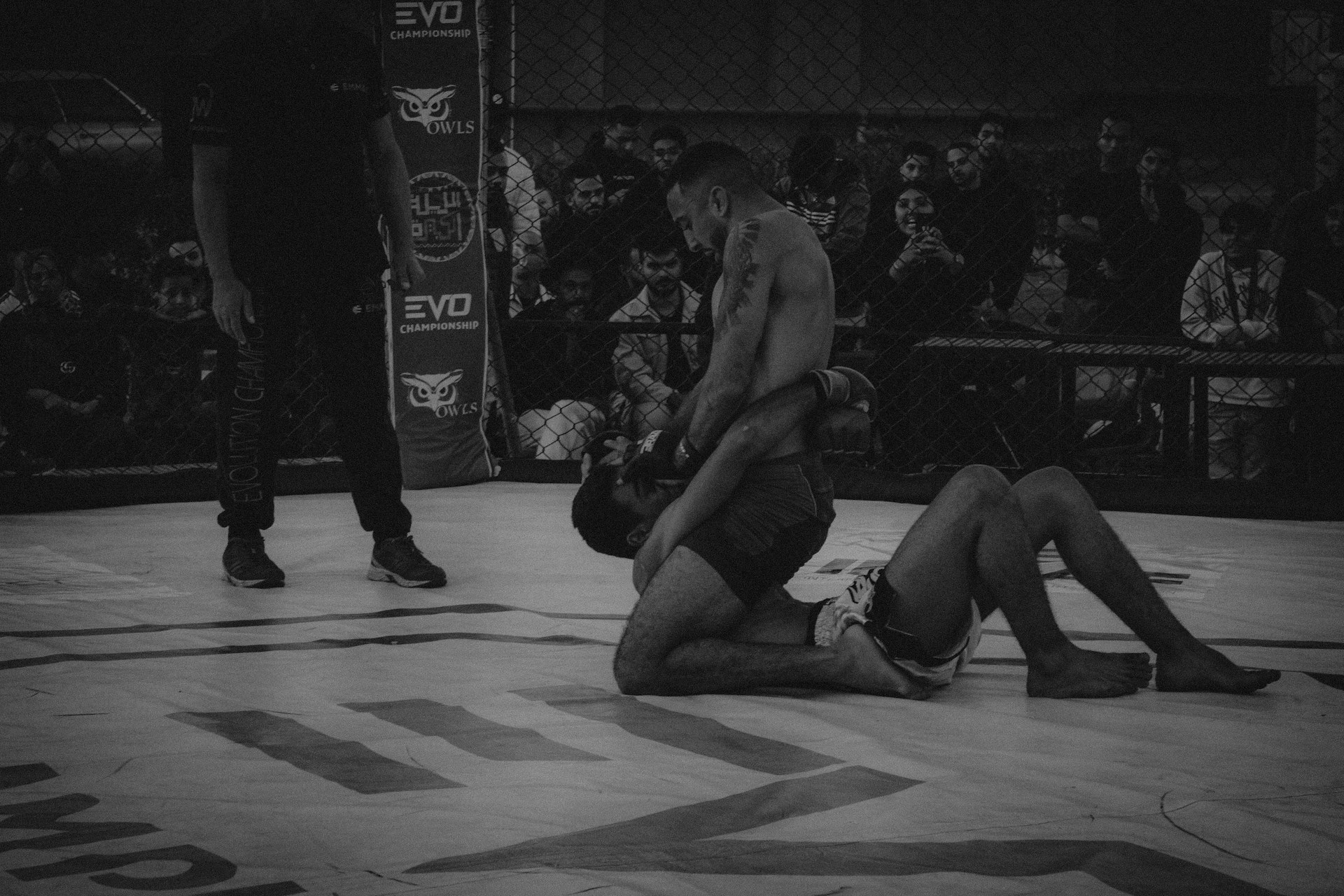 最新対戦カード