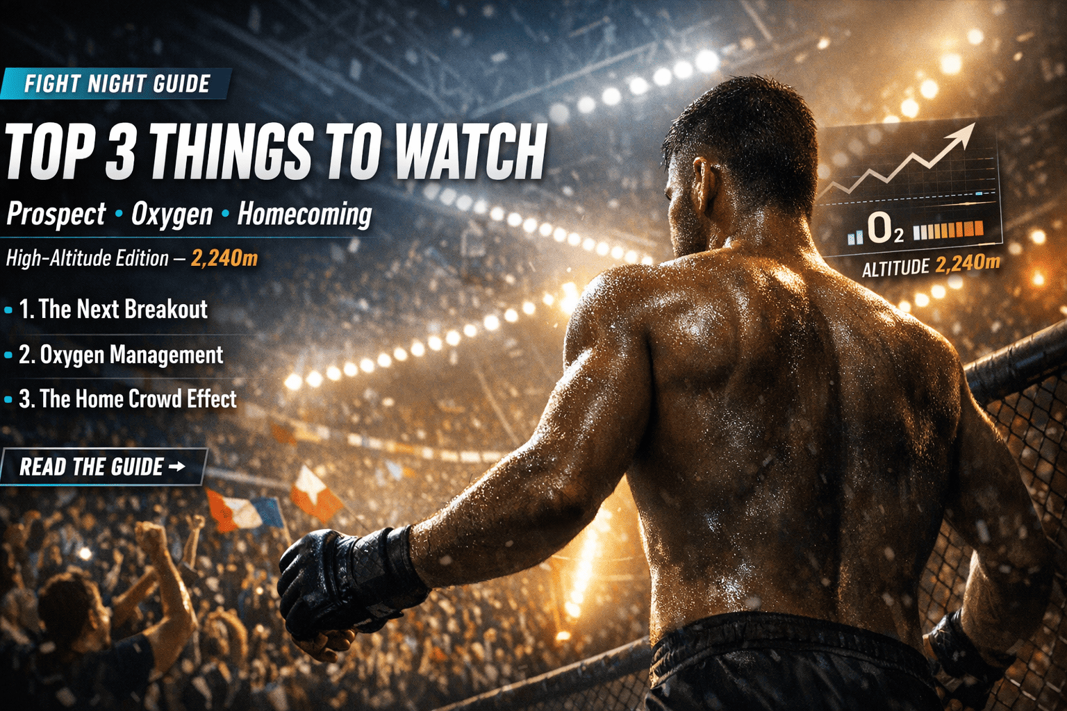 Fight Night観戦：おすすめTOP3 Recommended TOP3