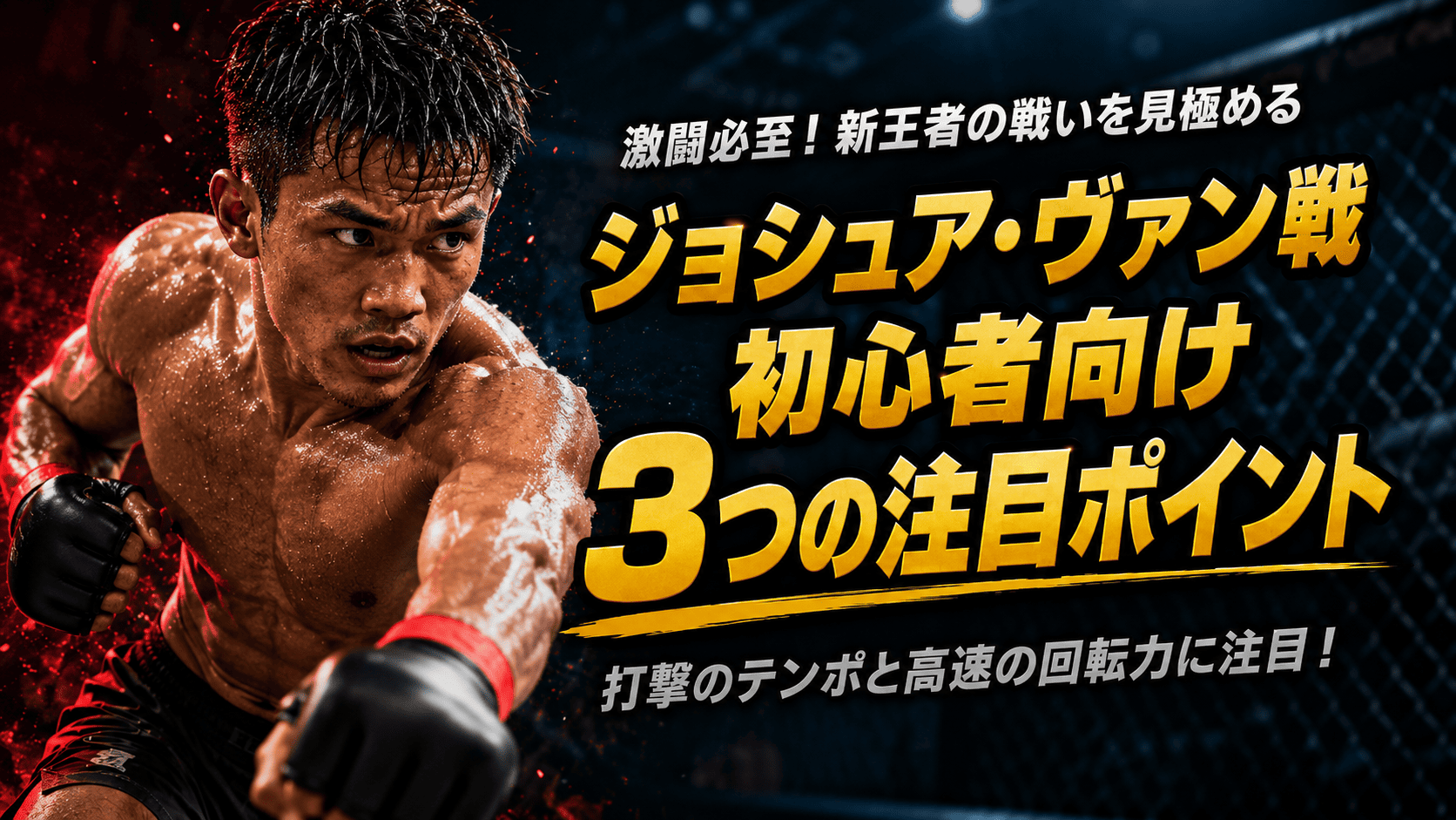 8. Three key points for beginners to look out for when watching a Joshua Van fight