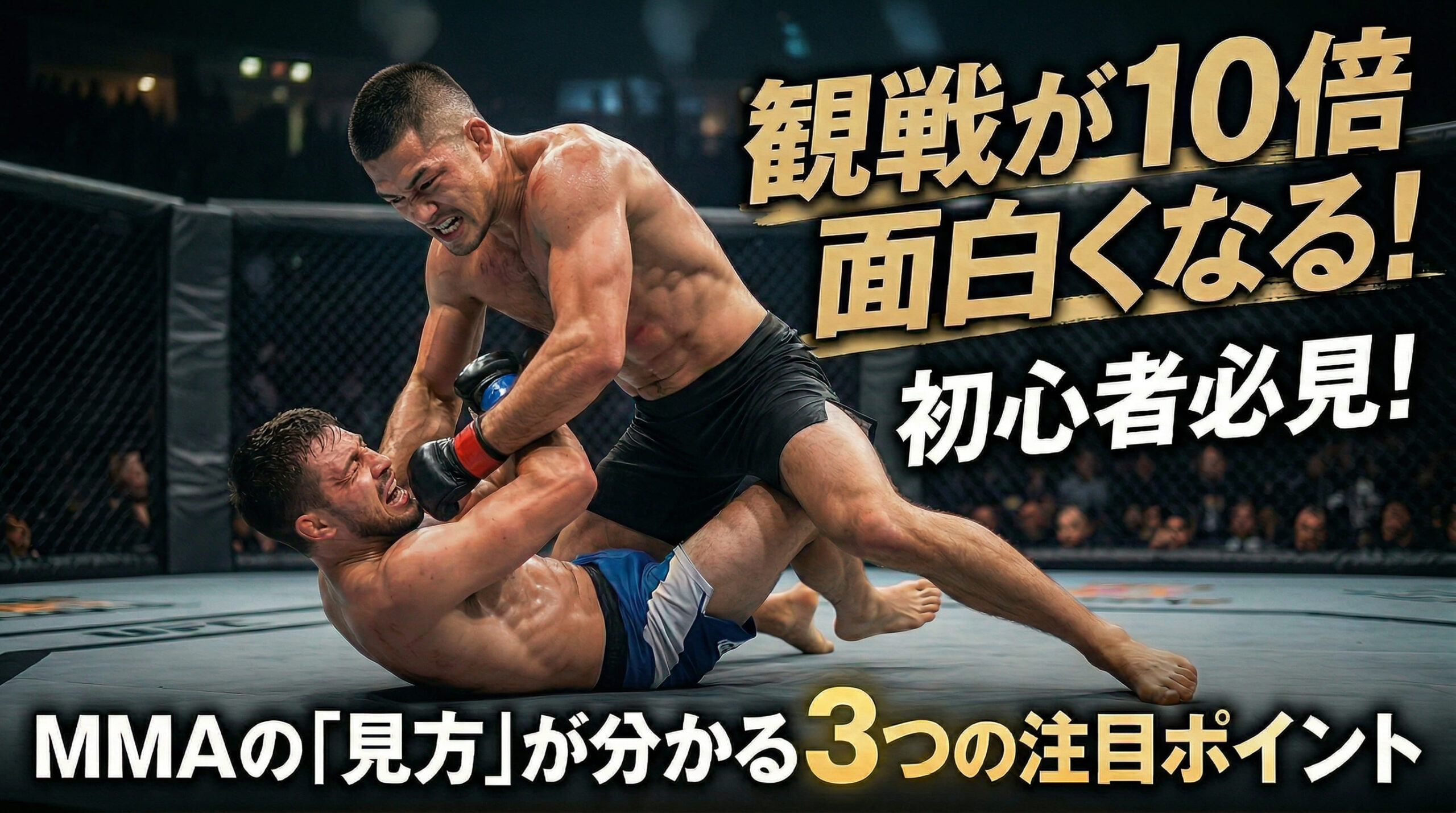 Three key points for beginners to focus on when watching a match