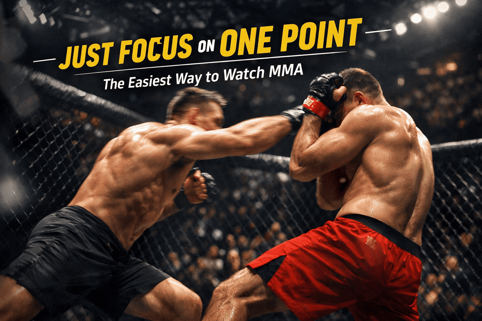 Viewing that even beginners can enjoy