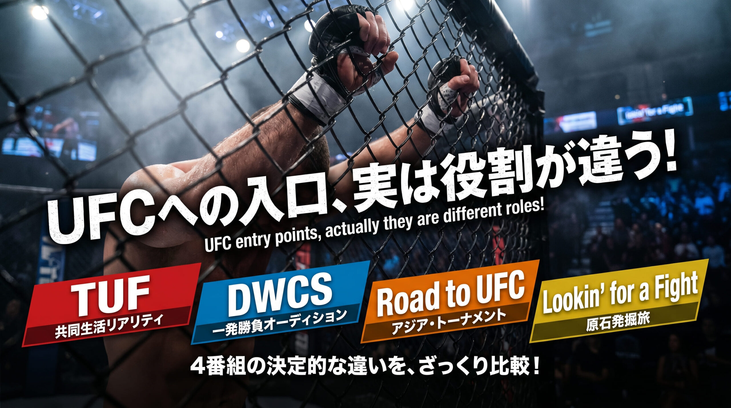 A rough comparison table of the 4 programs