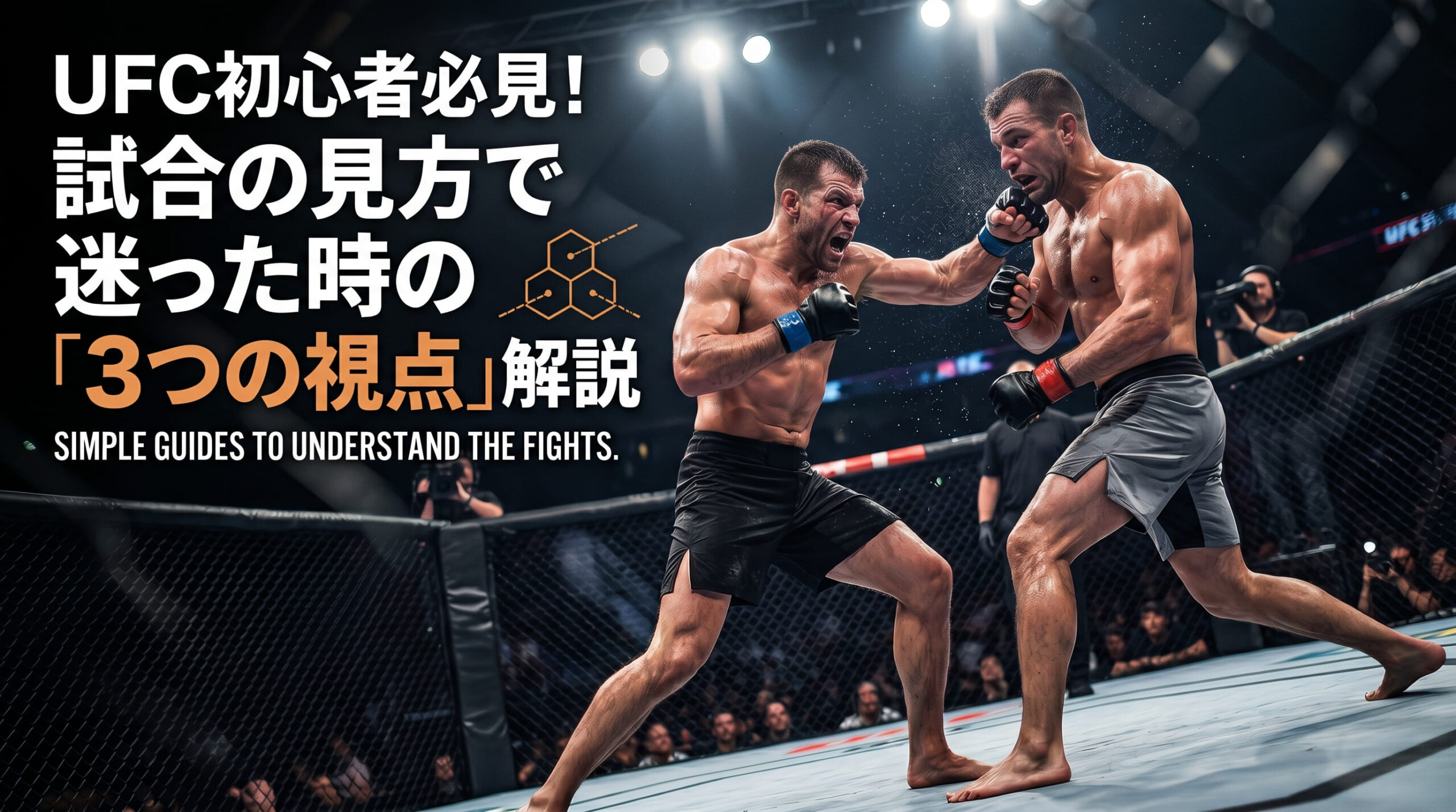 UFC for Beginners  An Introduction to How to Watch a Match