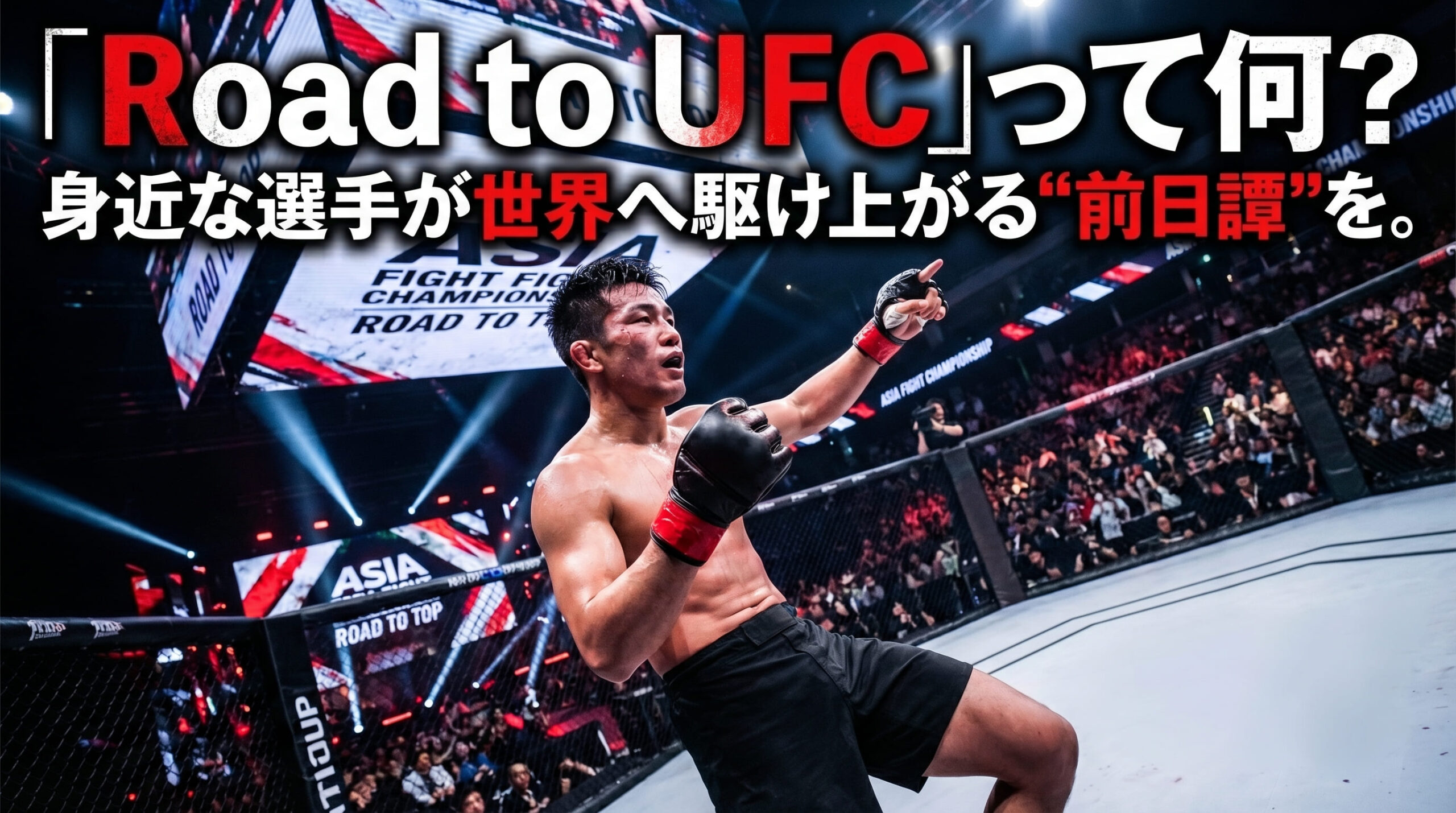 What is Road to UFC