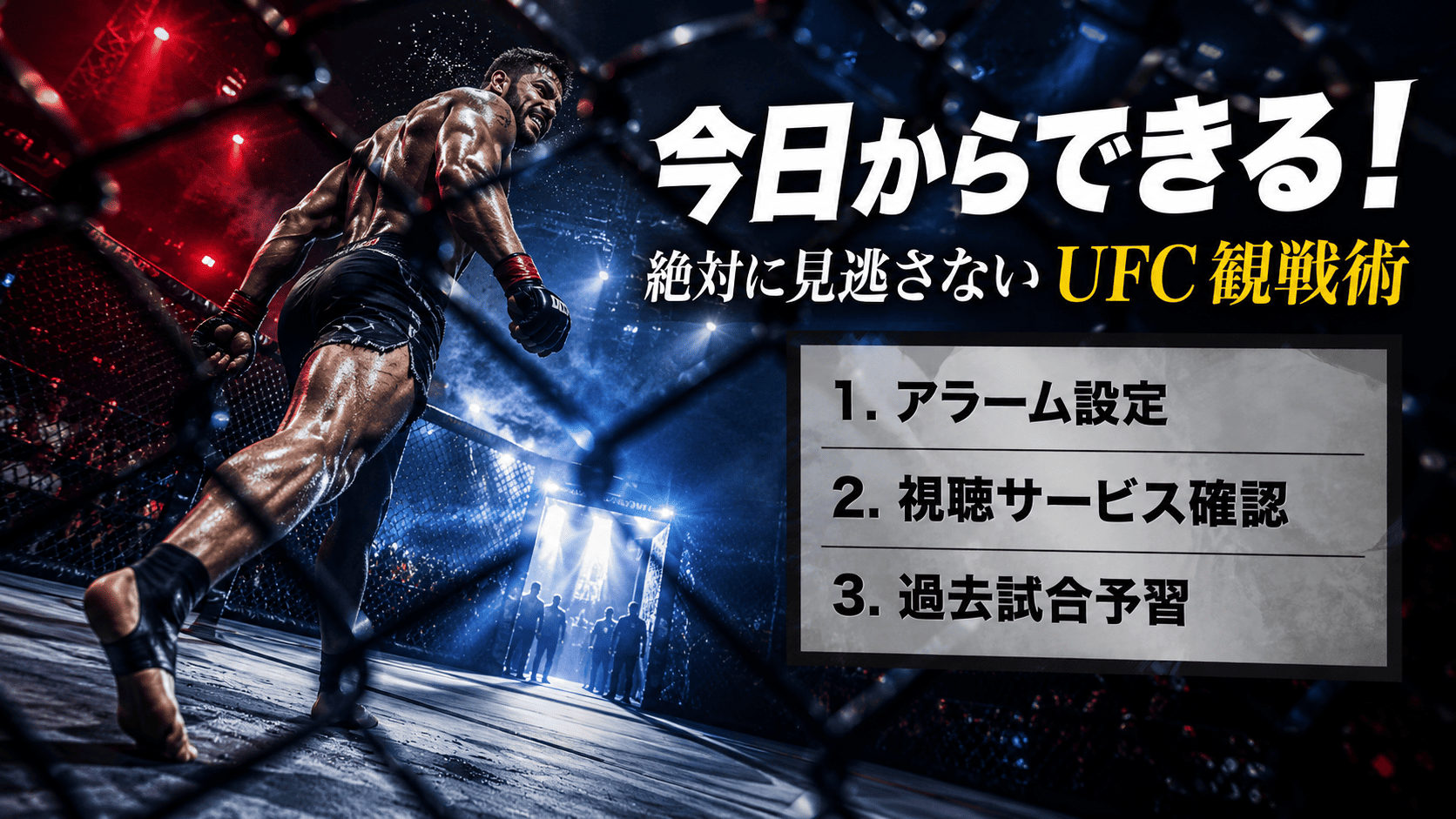UFCバクー大会を観戦するための準備3ステップ