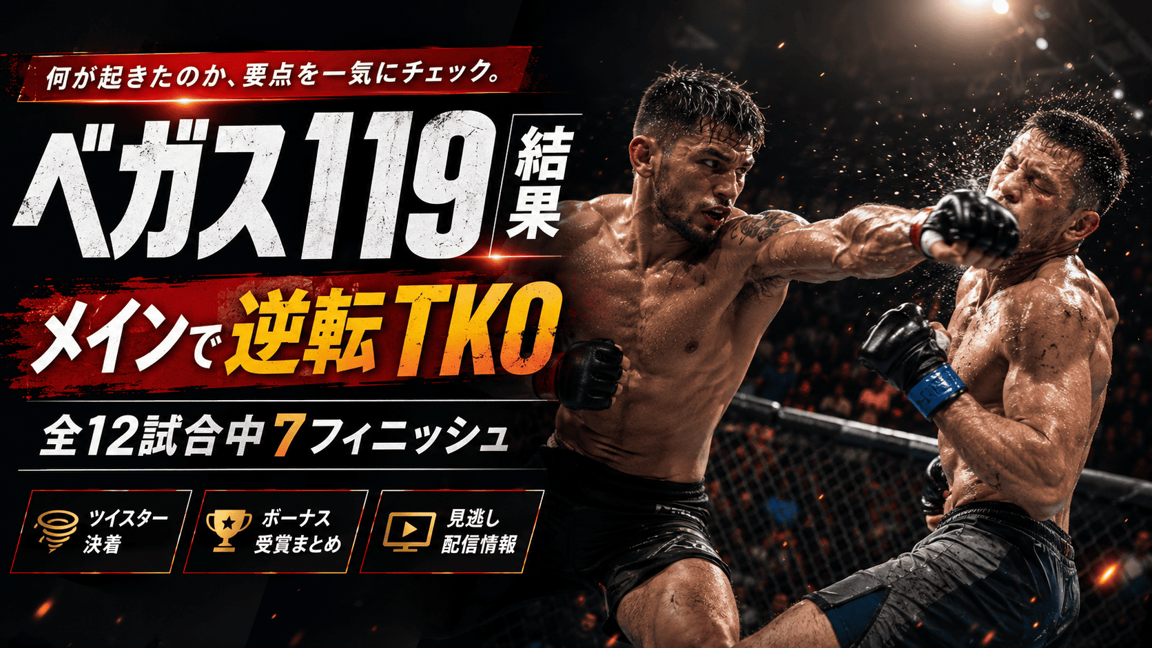 UFCベガス119結果に関するよくある質問FAQ