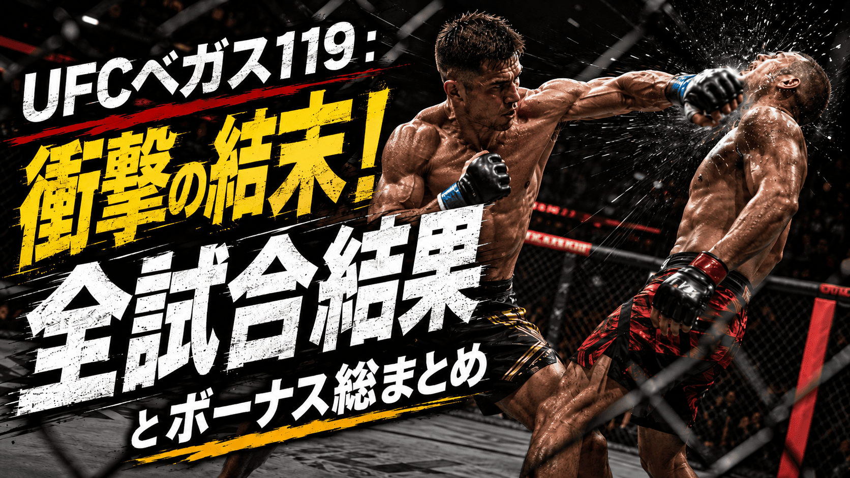 UFCベガス119全12試合の結果一覧表
