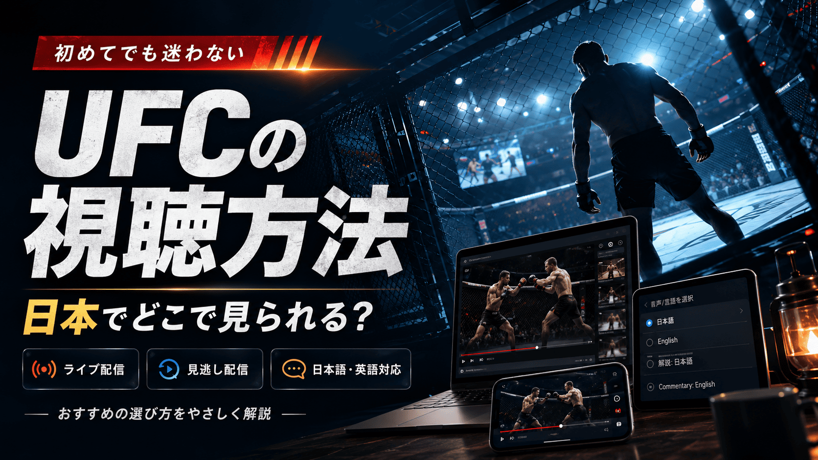 UFCファイトナイト ケイプ vs 堀口の視聴方法