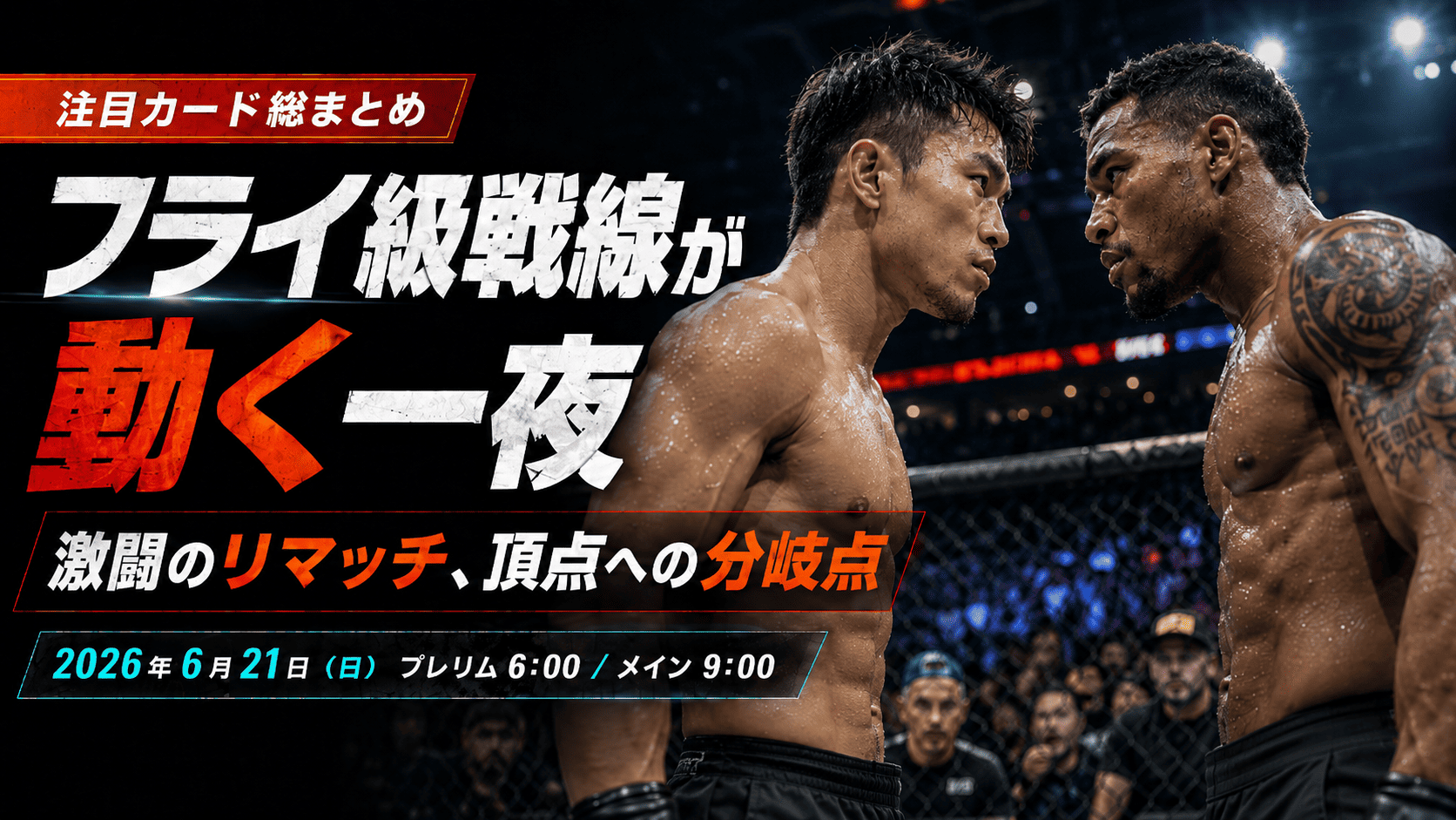 UFCファイトナイト ケイプ vs 堀口の要点まとめ